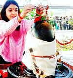 Not getting engaged, says Virat Kohli